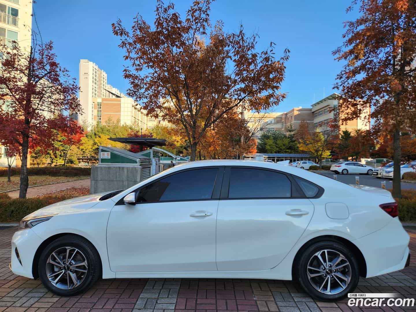 K3 Kia 2021.6-OUTER-002