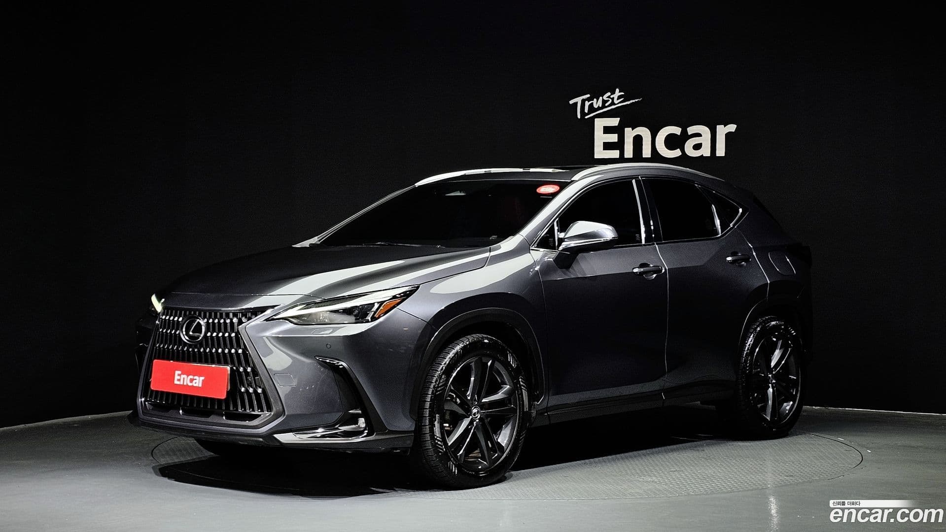Main__Slider__Photo:NX Lexus 2022.9-0