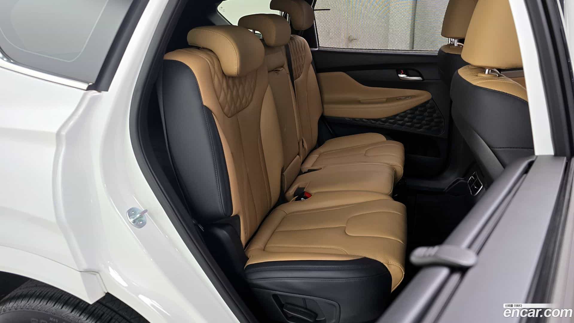 Santafe Hyundai 2023.10-OPTION-016