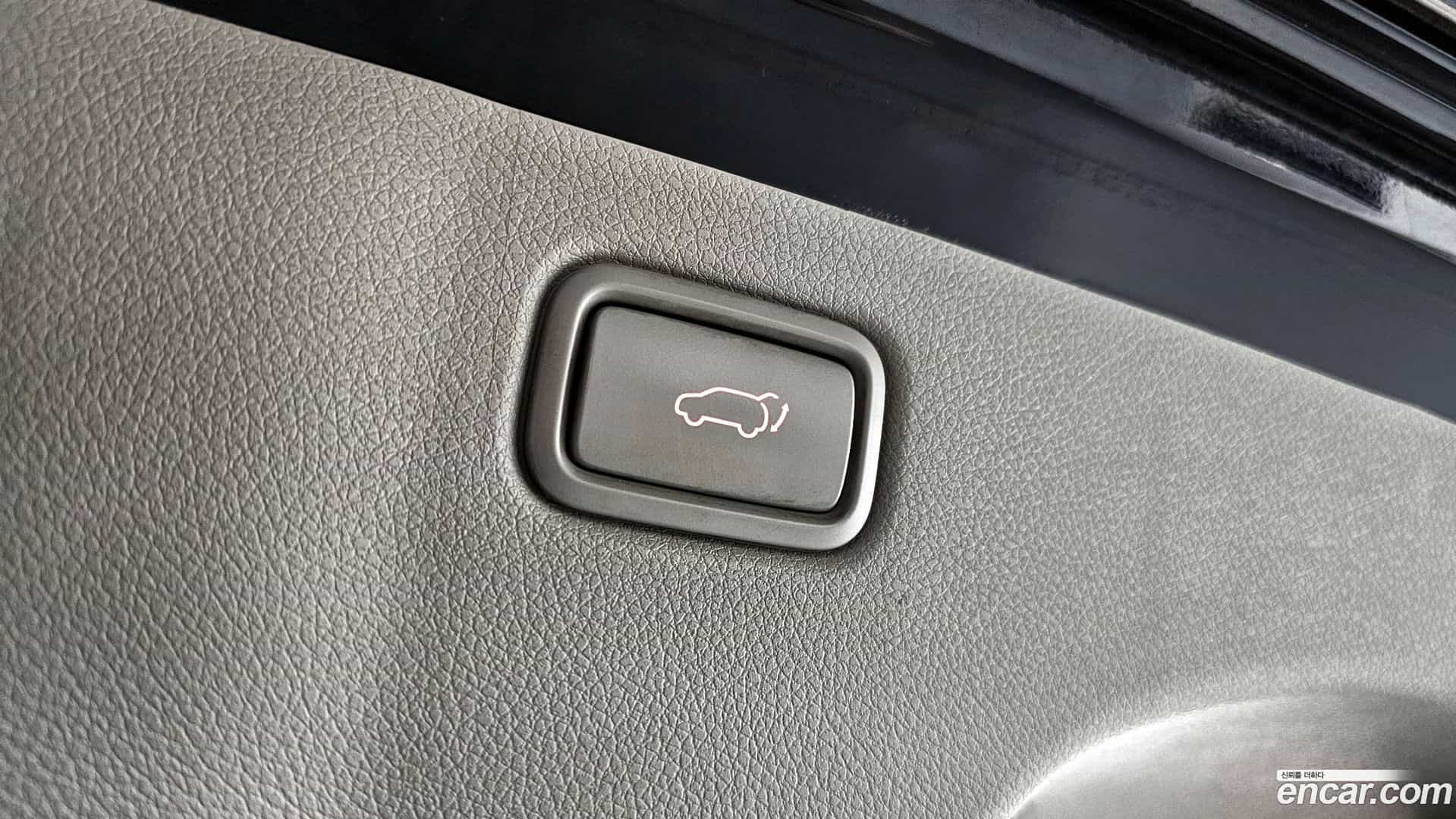 Canival Kia 2018.11-OPTION-023