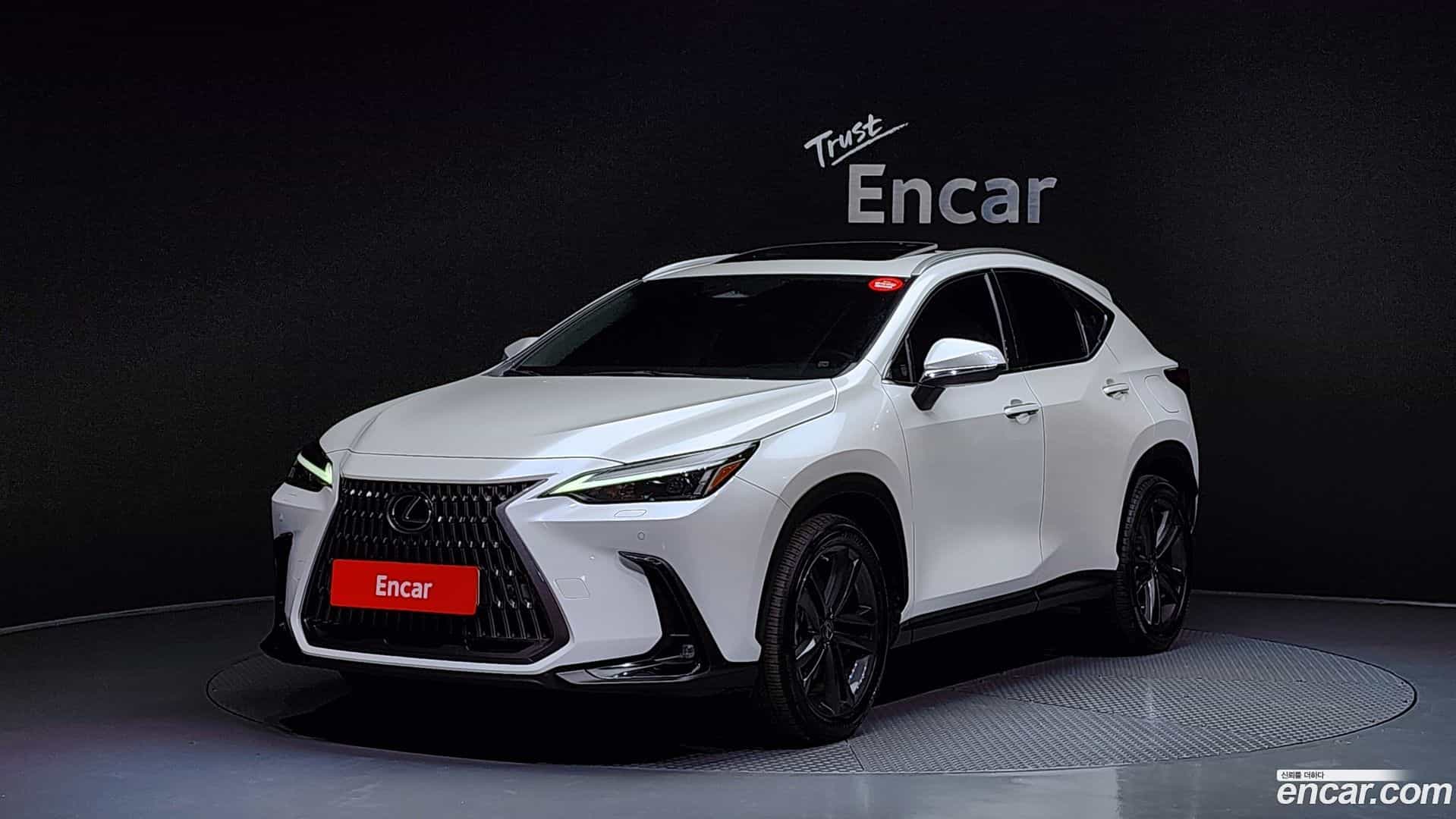 NX Lexus 2022.5-OUTER-001