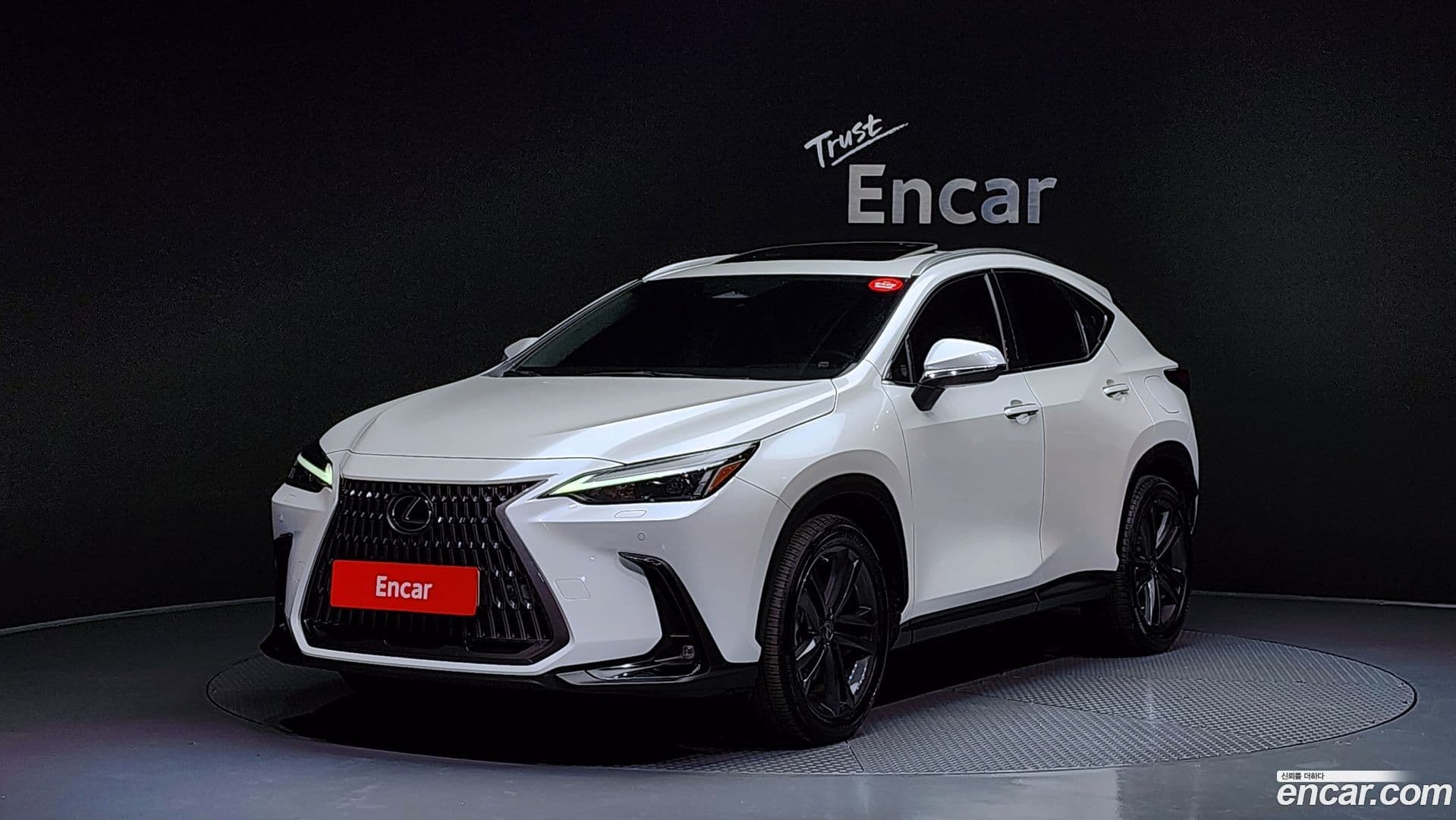 Main__Slider__Photo:NX Lexus 2022.5-0