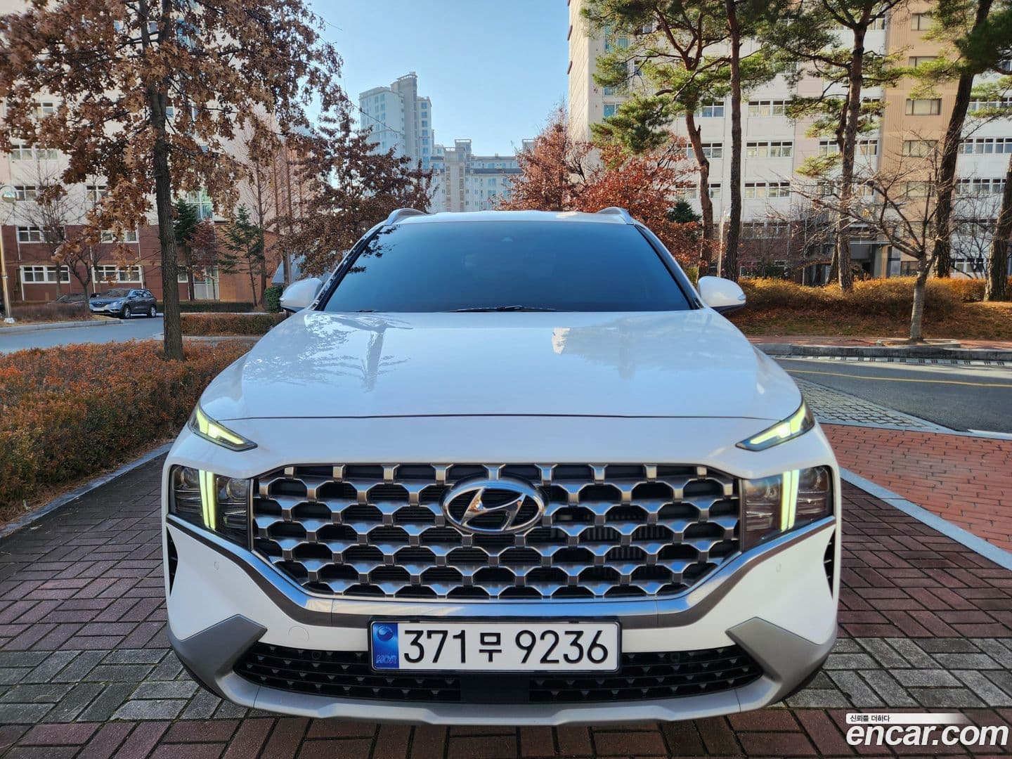 Main__Slider__Photo:Santafe Hyundai 2022.11-0