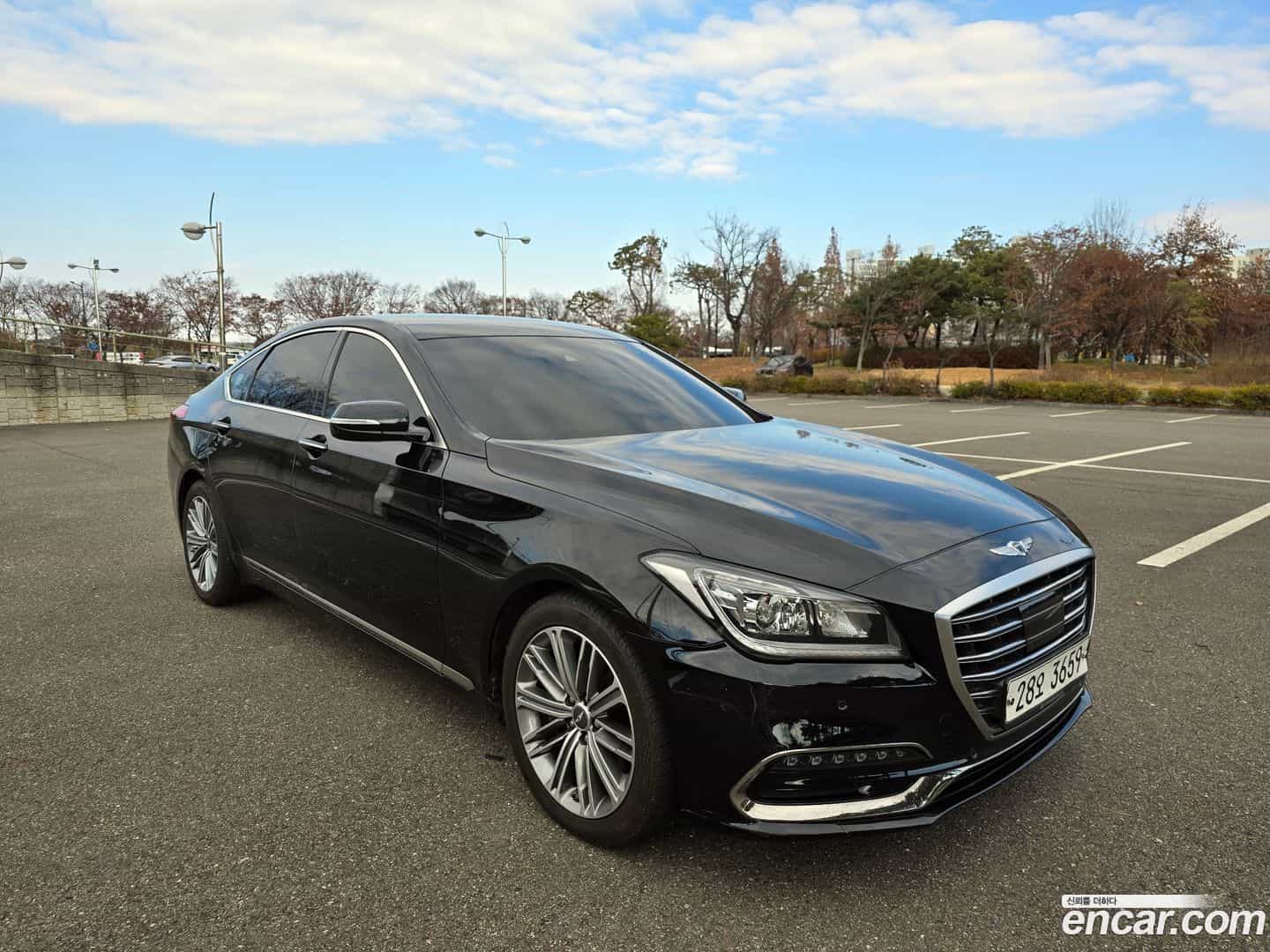 G80 Genesis 2017.0-OPTION-021