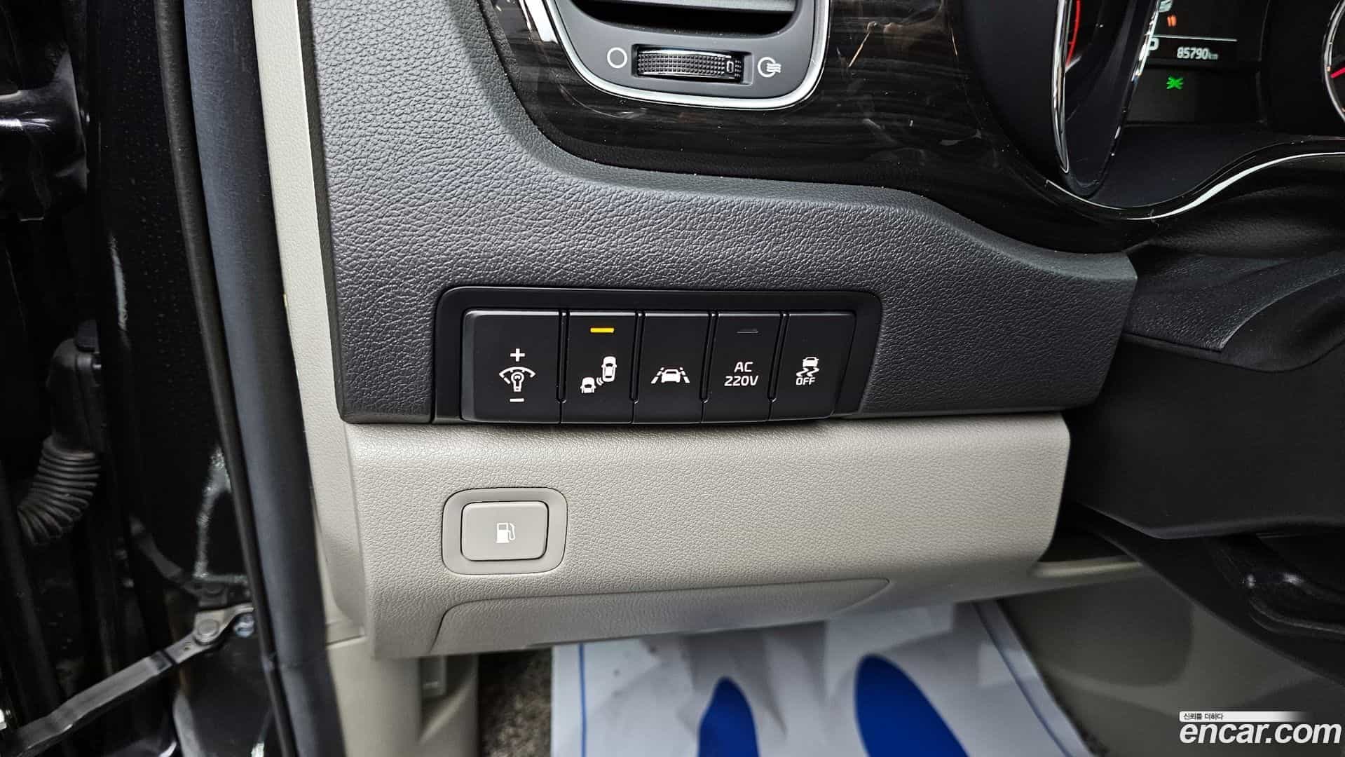Canival Kia 2019.4-OPTION-016