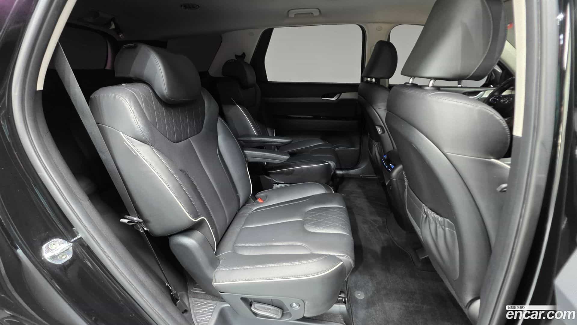 Palisade Hyundai 2021.10-OPTION-023