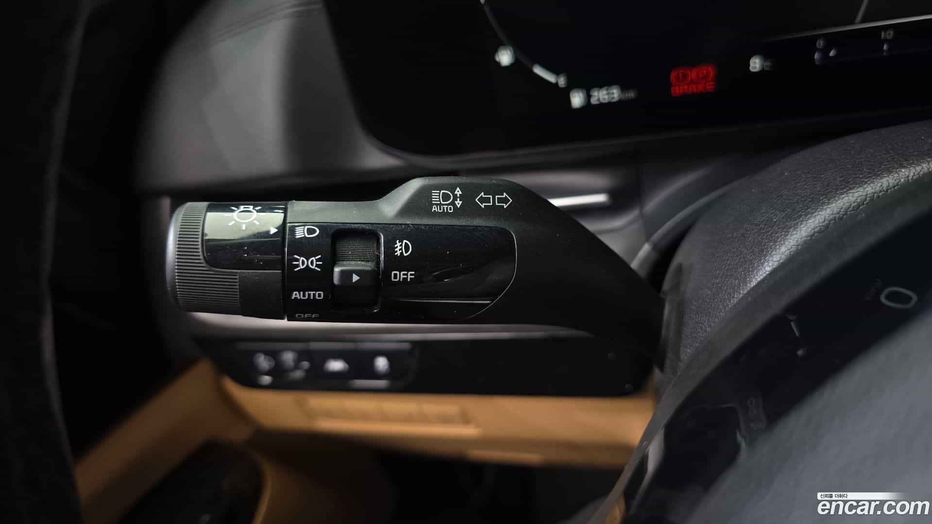 Canival Kia 2020.11-OPTION-020