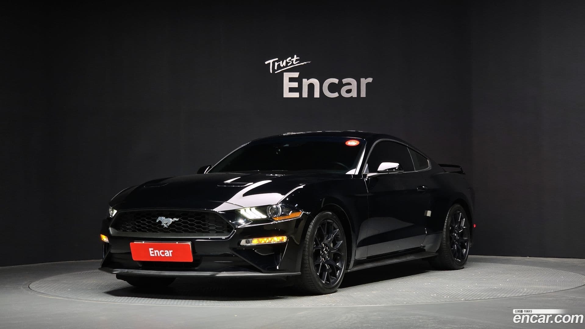 Main__Slider__Photo:Mustang Ford 2019.10-0