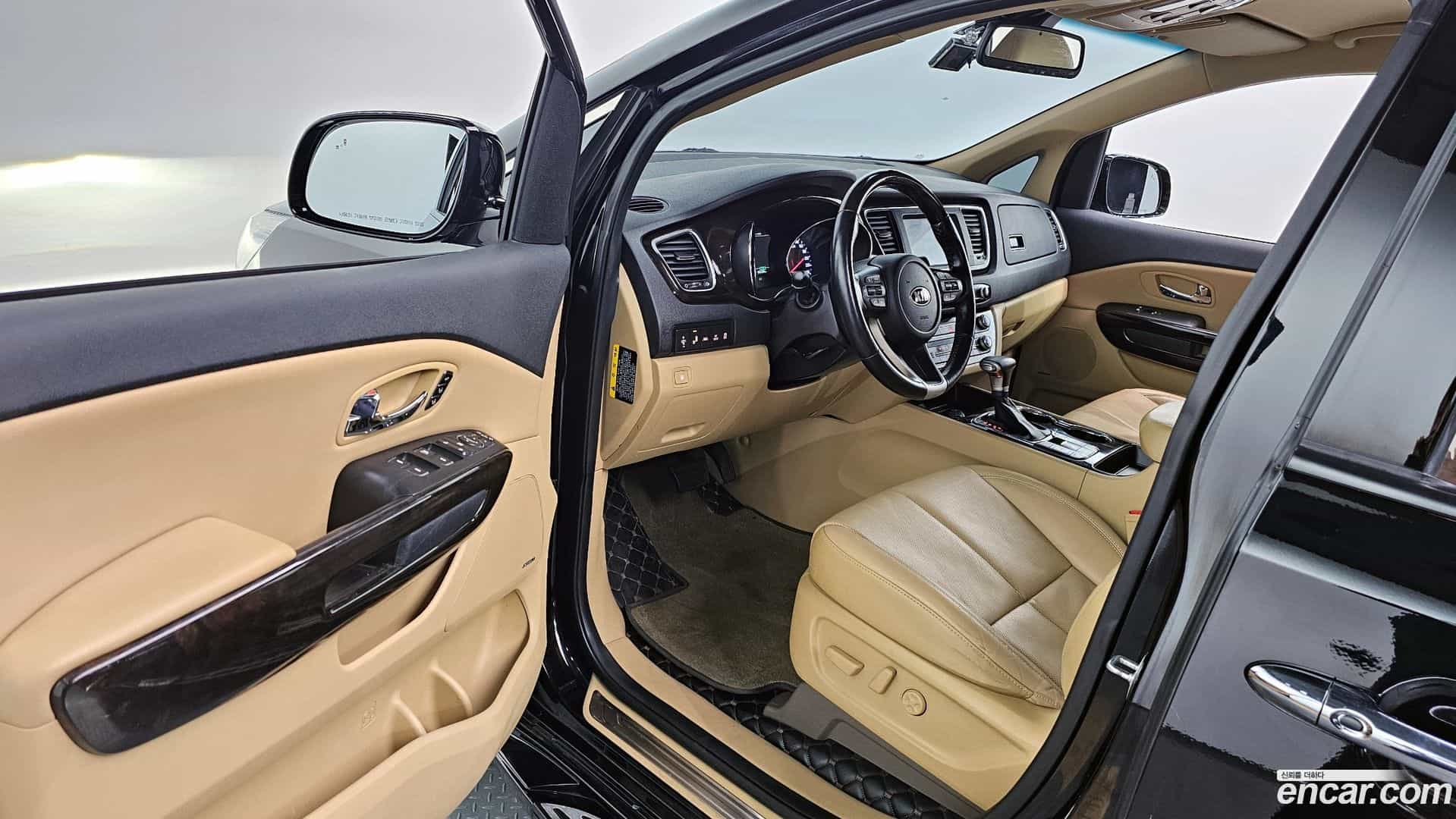 Canival Kia 2019.0-OPTION-015