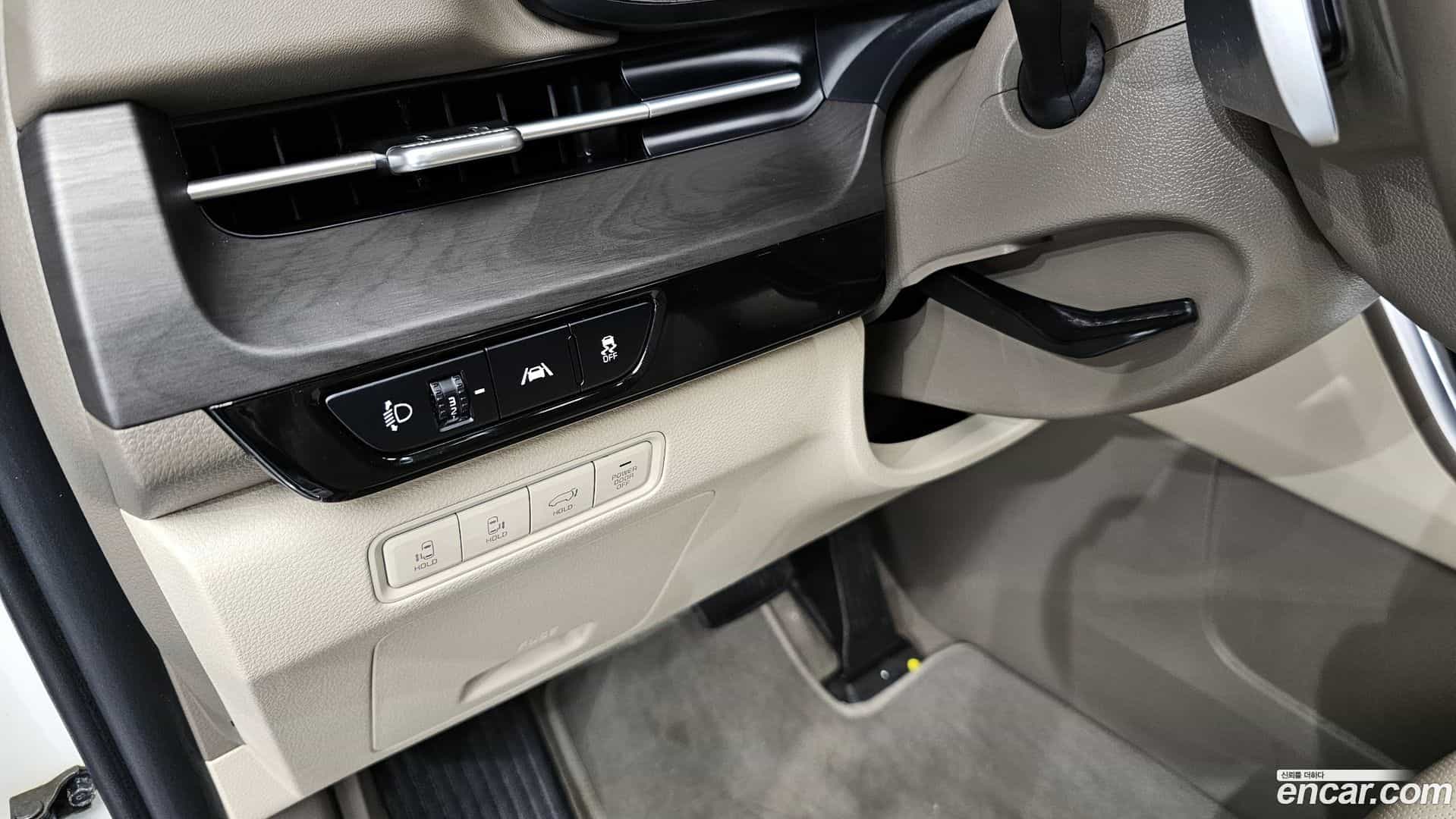 Canival Kia 2020.10-OPTION-016