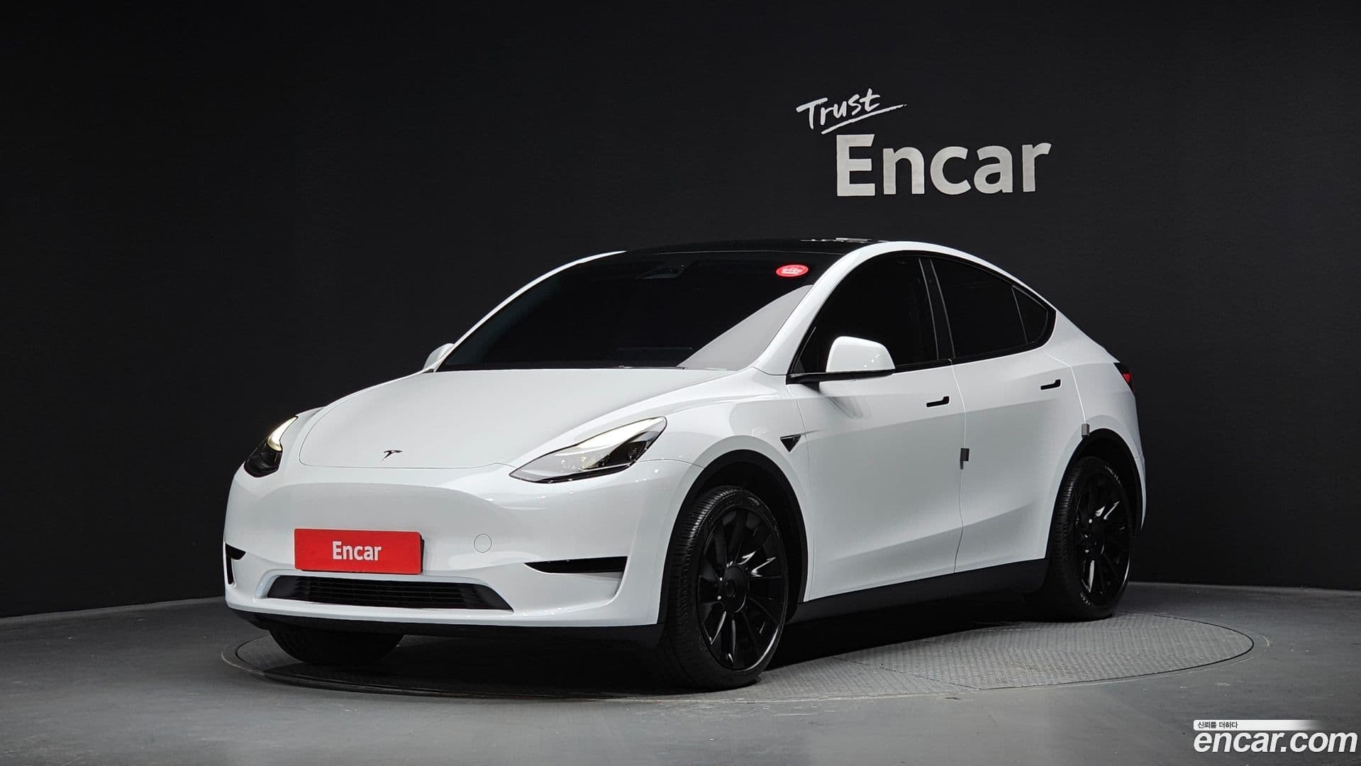 Main__Slider__Photo:Model Y Tesla 2023.11-0