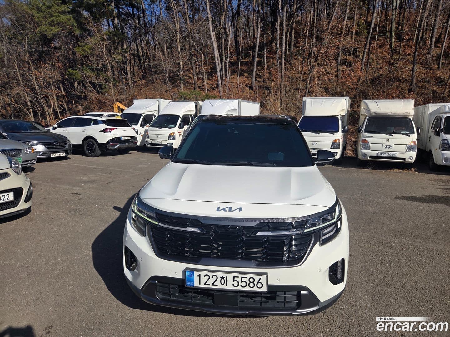 Main__Slider__Photo:Seltos Kia 2022.8-0