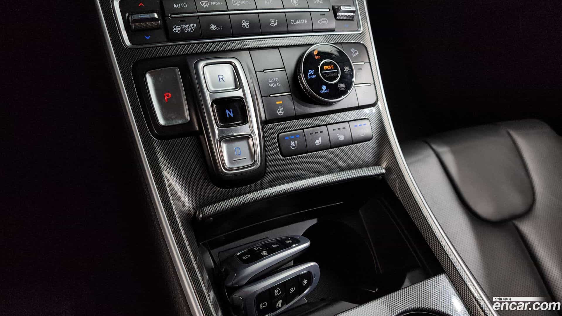 Santafe Hyundai 2022.10-OPTION-017