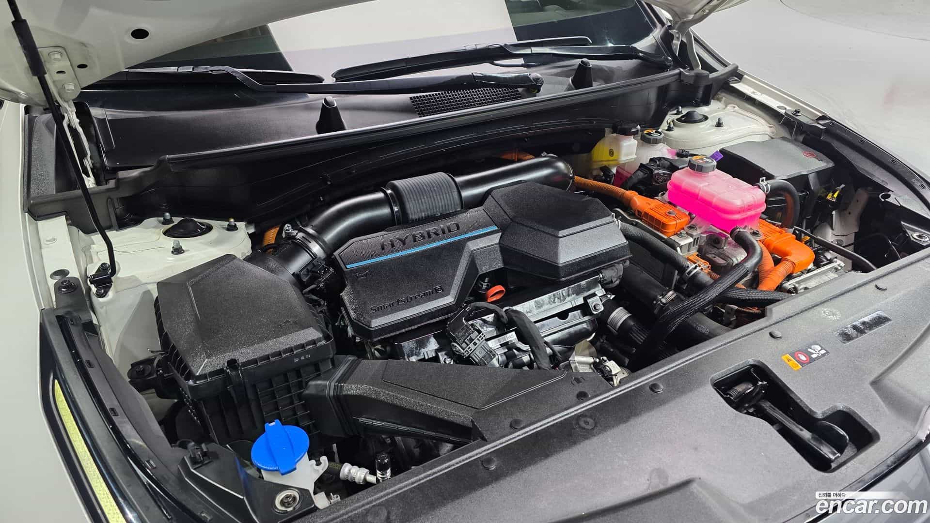 Sportage Kia 2021.8-INNER-006