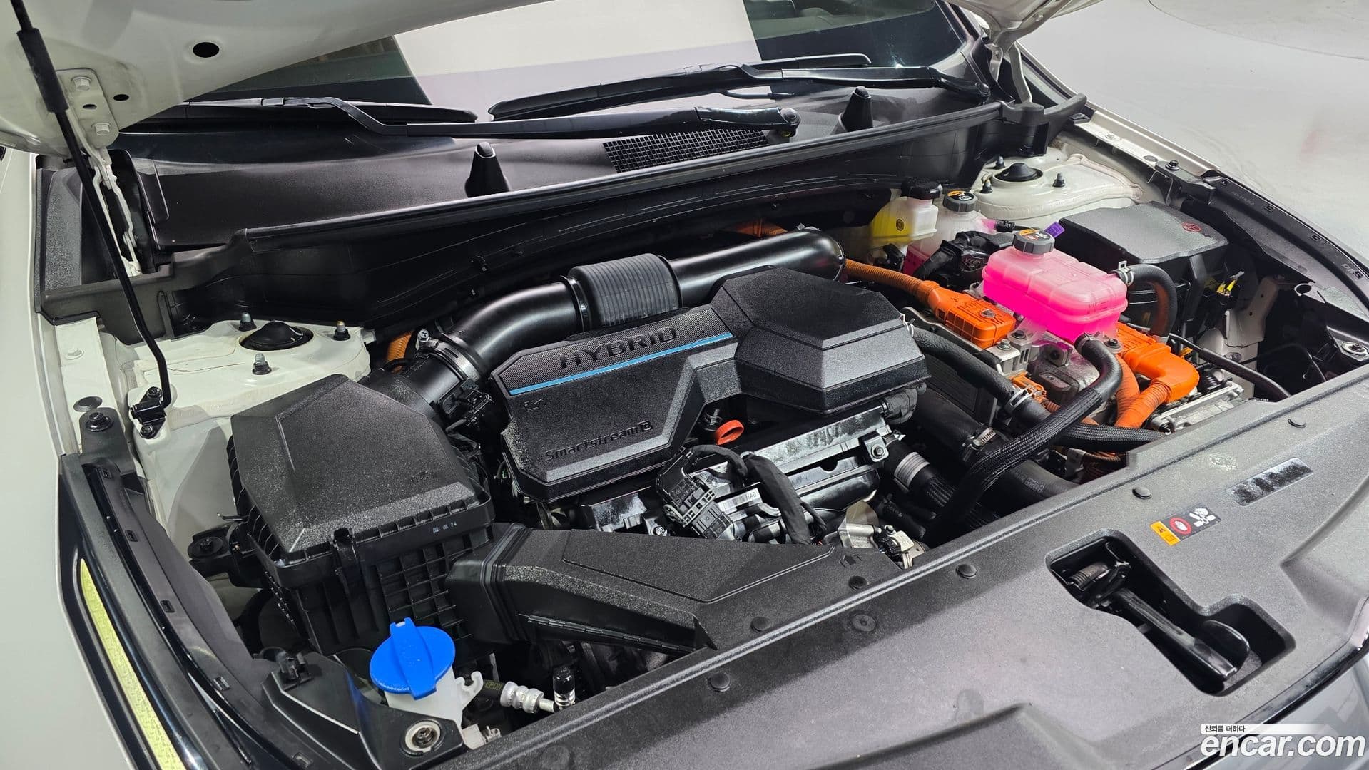 Main__Slider__Photo:Sportage Kia 2021.8-5
