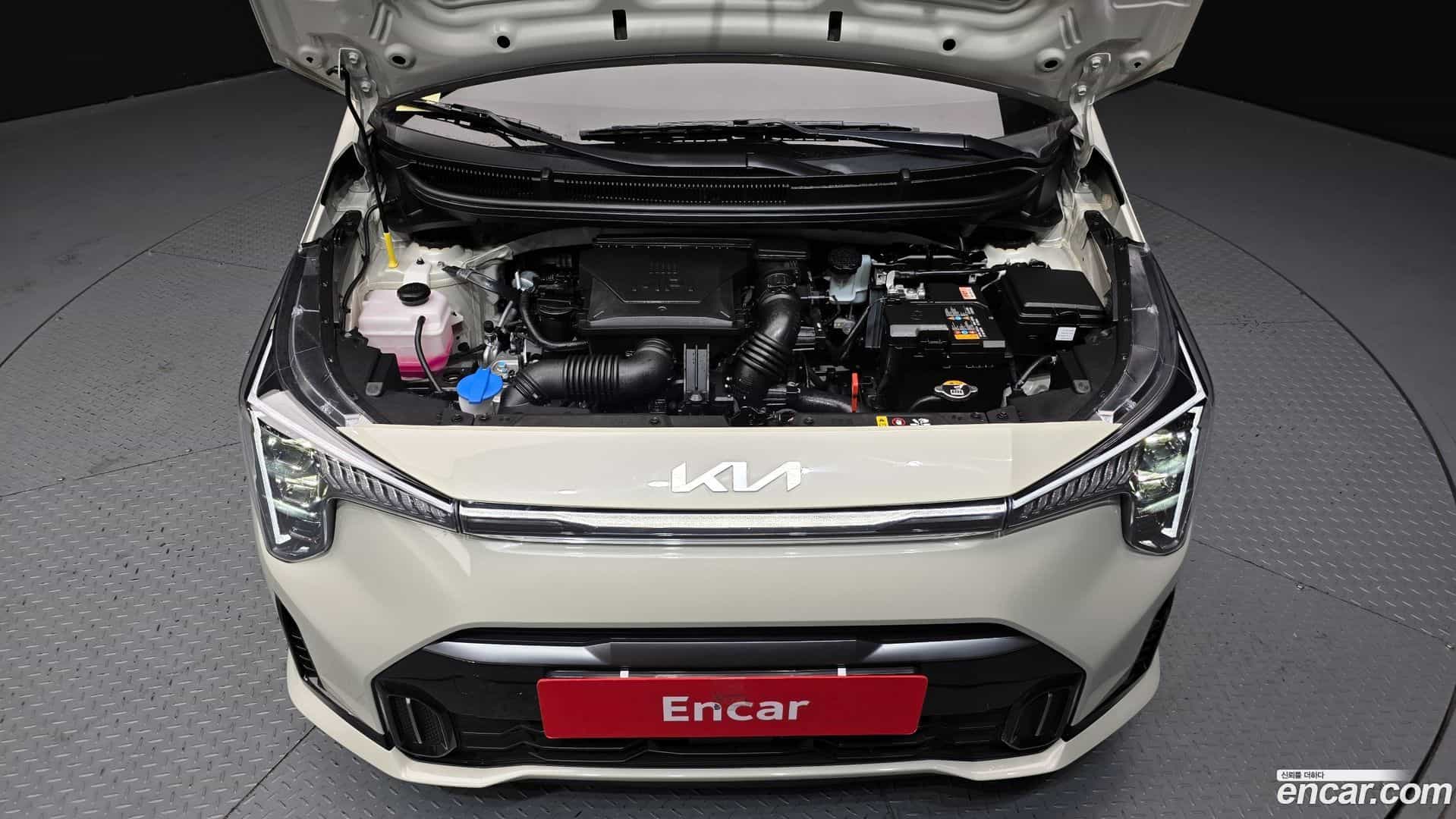 morning Kia 2025.6-INNER-006