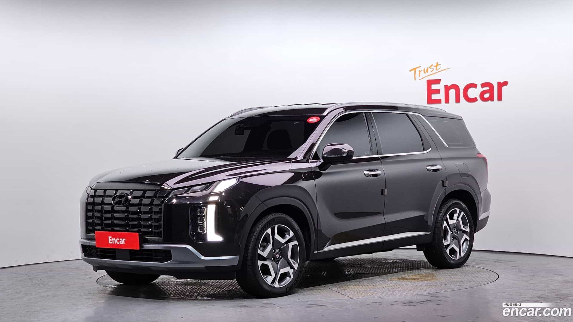 Palisade Hyundai 2024.1-OUTER-001