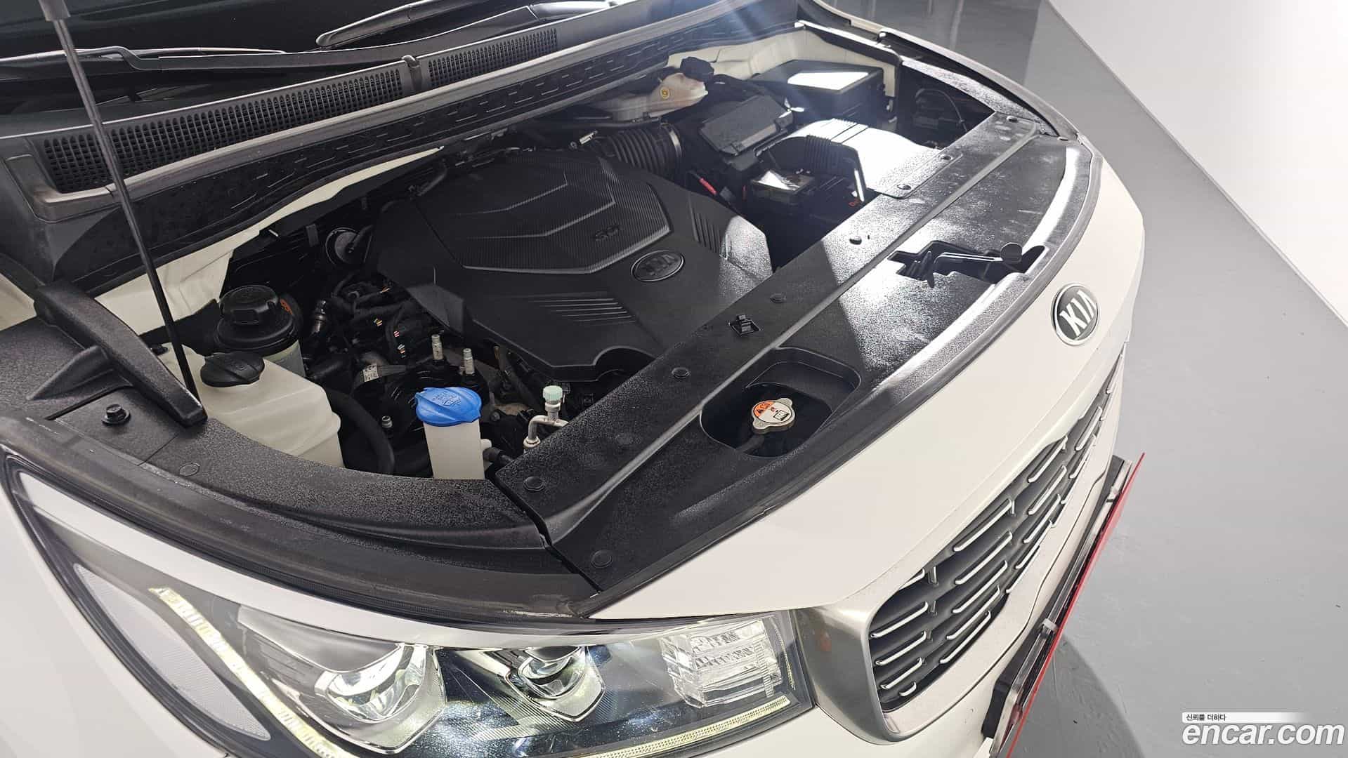 Canival Kia 2019.6-INNER-006