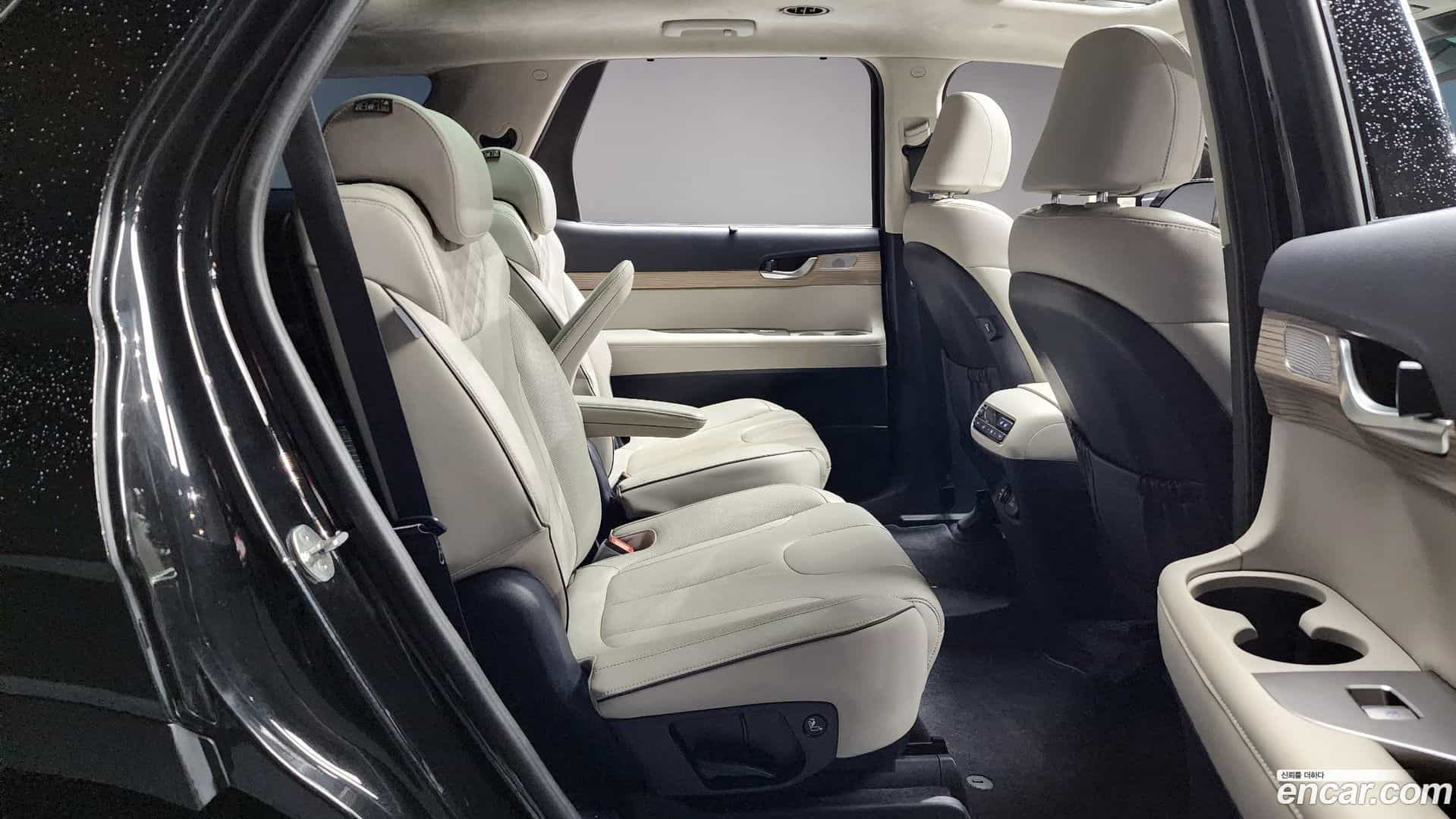 Palisade Hyundai 2019.2-OPTION-016