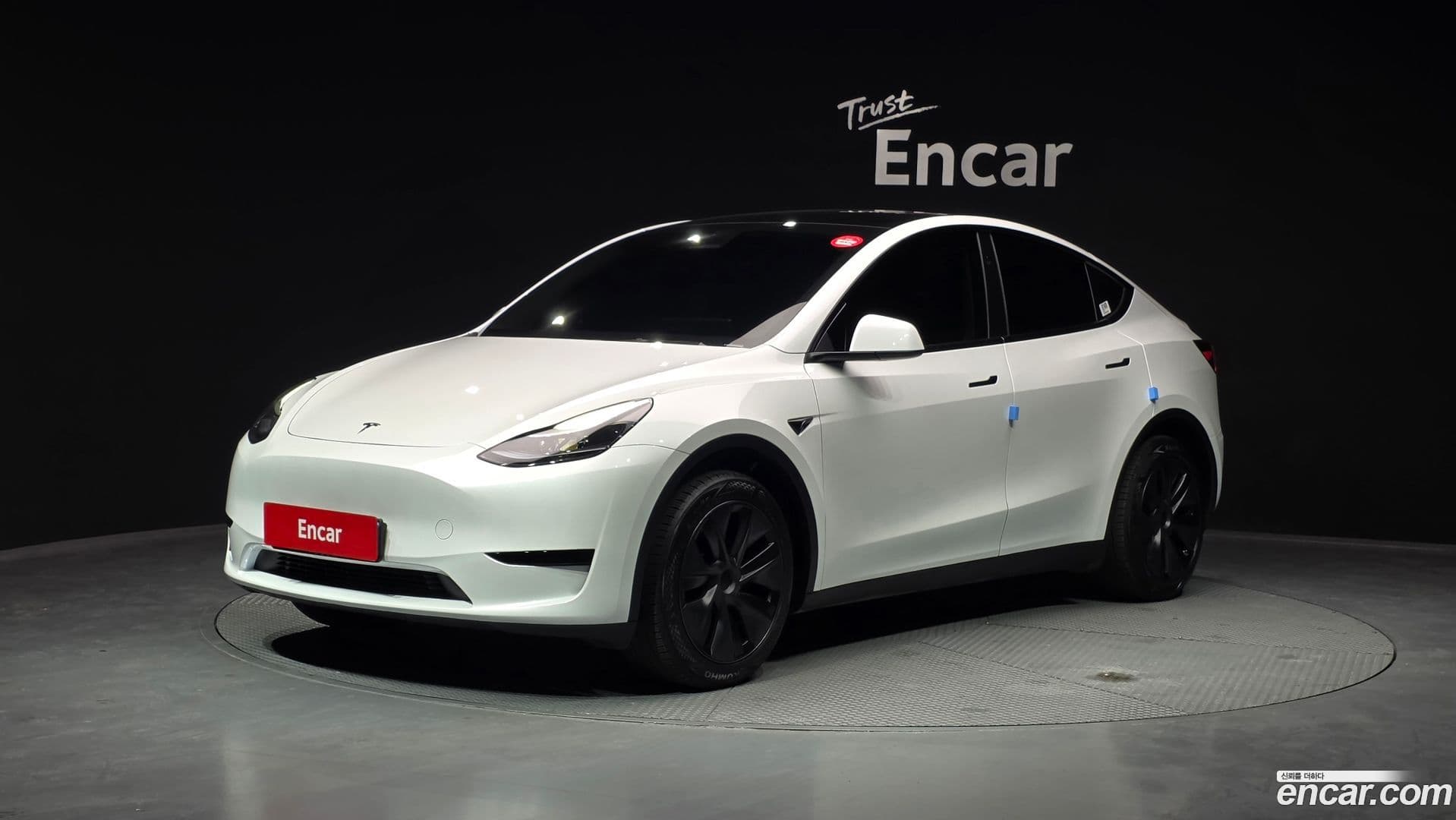 Main__Slider__Photo:Model Y Tesla 2024.8-0