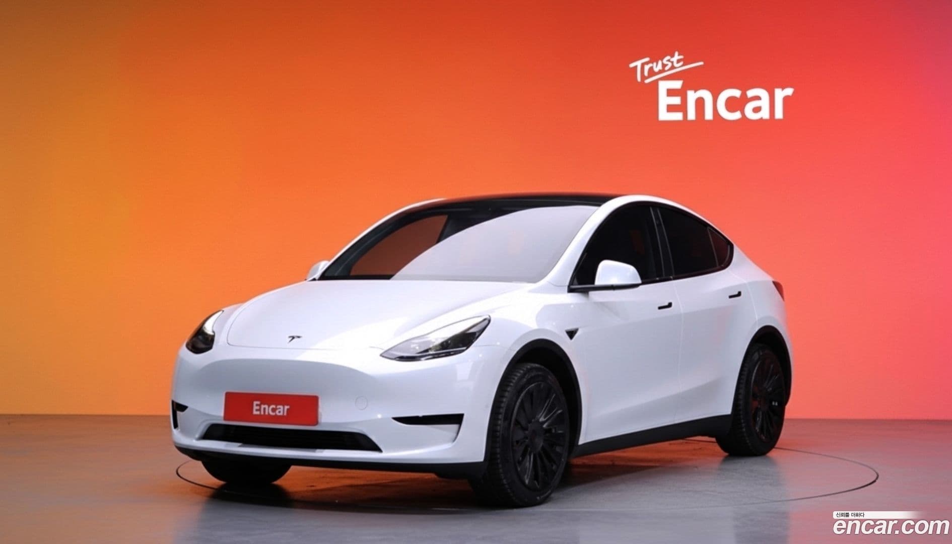Main__Slider__Photo:Model Y Tesla 2023.8-0