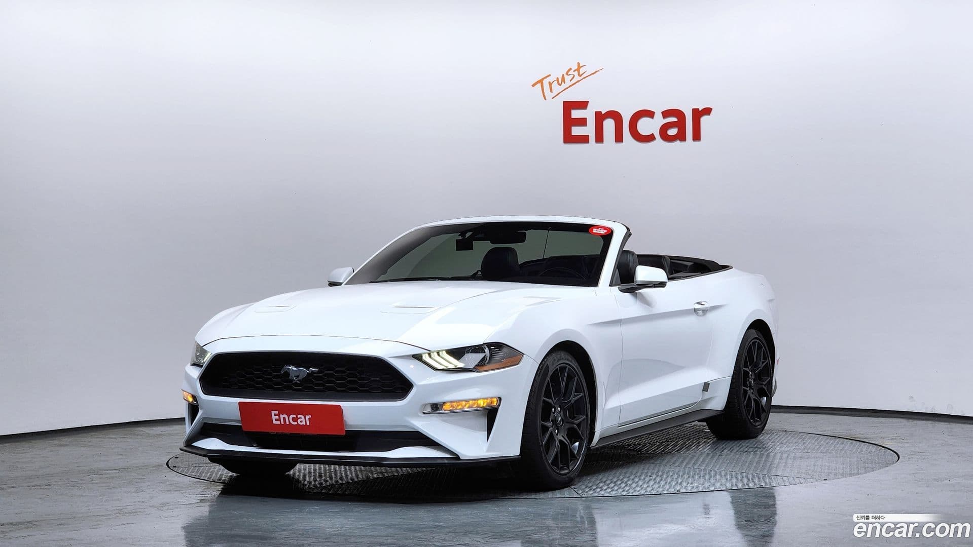Main__Slider__Photo:Mustang Ford 2019.9-0