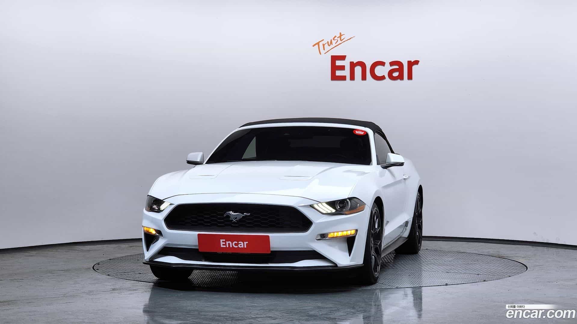Mustang Ford 2019.9-OUTER-003