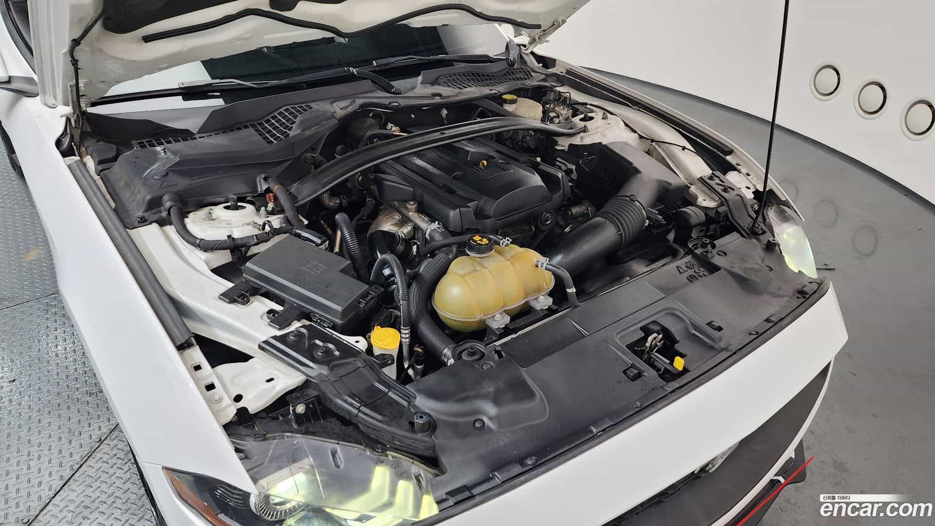 Mustang Ford 2019.9-INNER-006