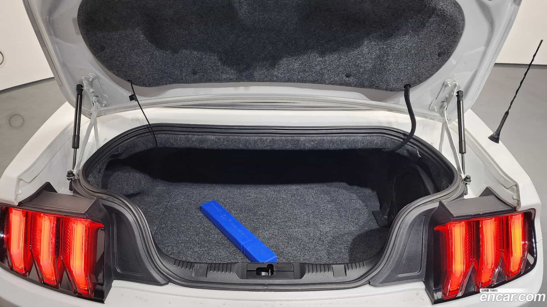 Mustang Ford 2019.9-OPTION-024