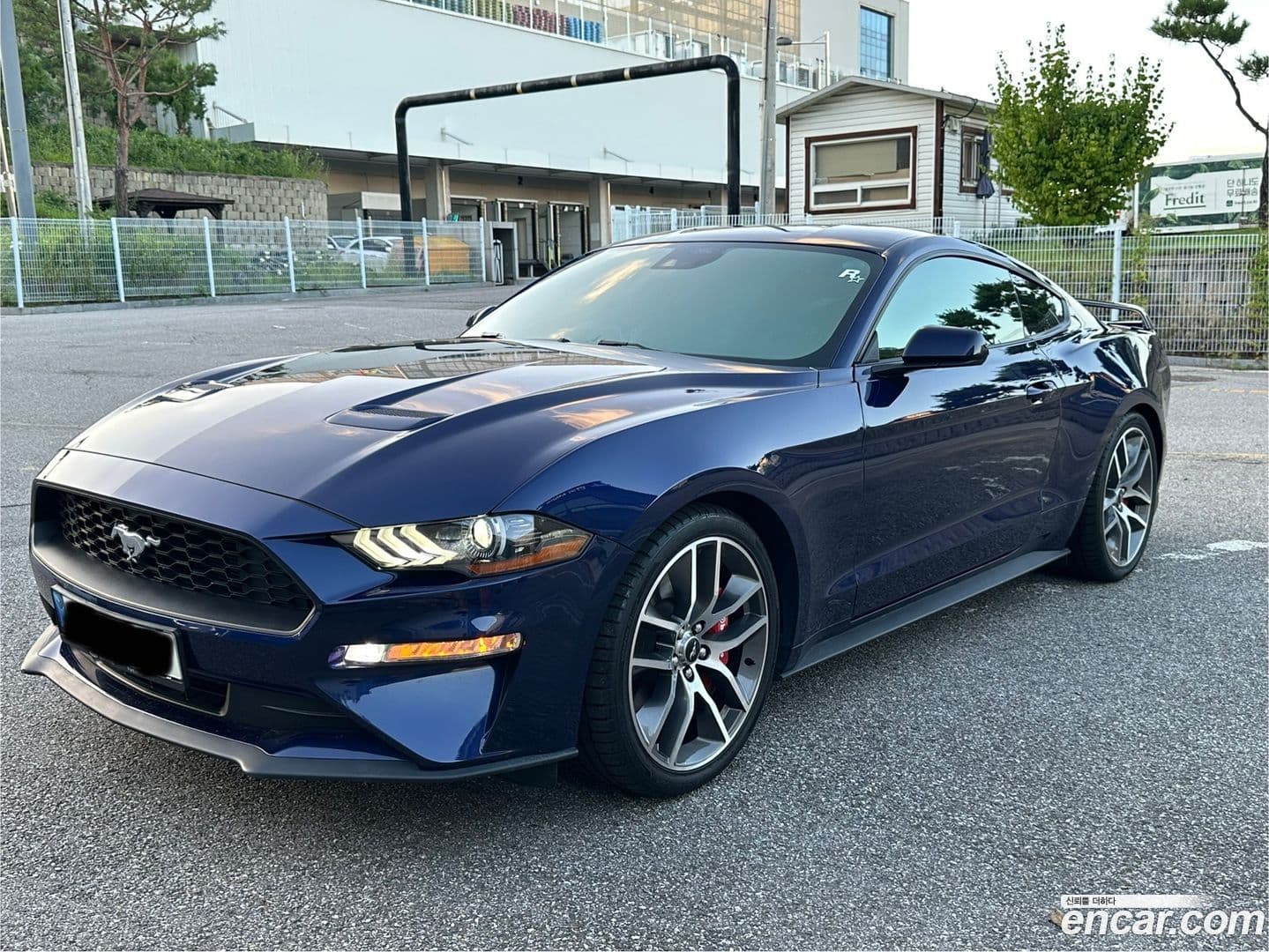 Main__Slider__Photo:Mustang Ford 2020.11-0