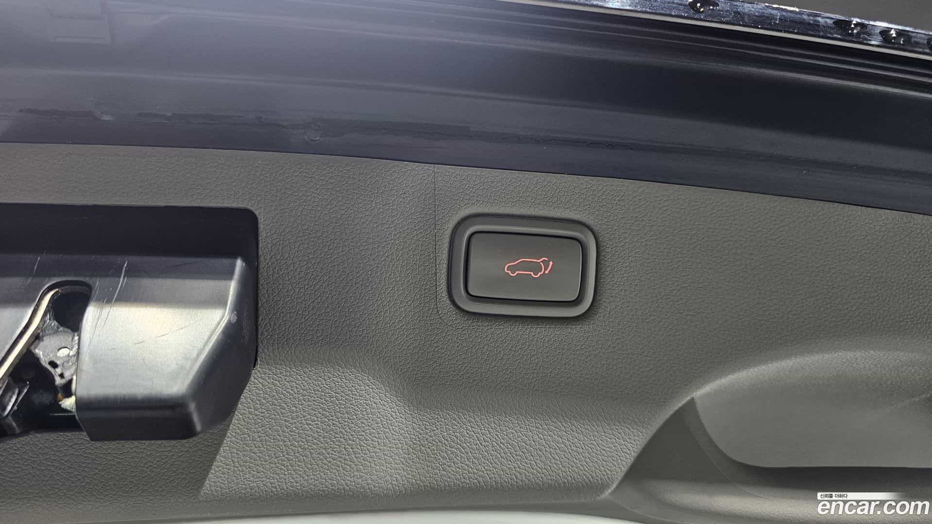 Canival Kia 2018.6-OPTION-024
