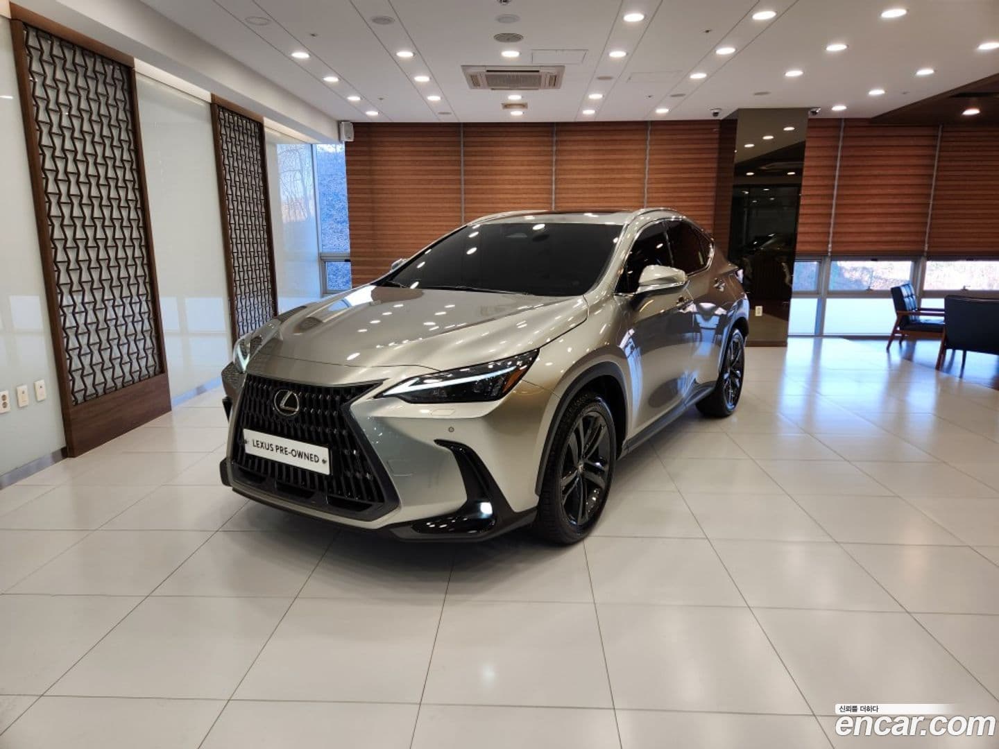 Main__Slider__Photo:NX Lexus 2024.11-0