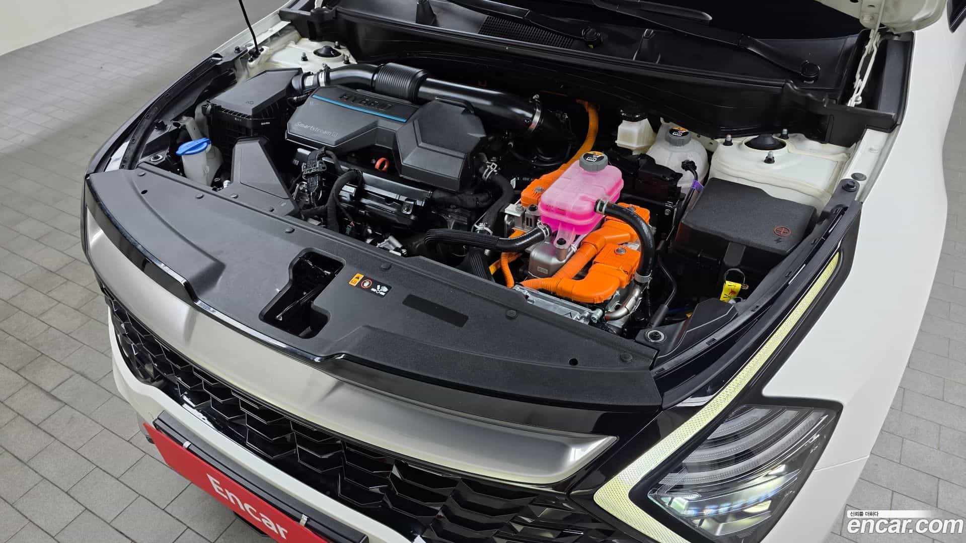 Sportage Kia 2023.8-INNER-006