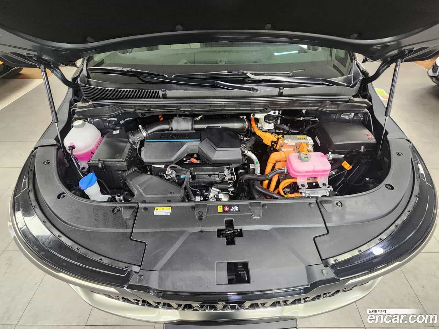 Canival Kia 2024.8-OPTION-024
