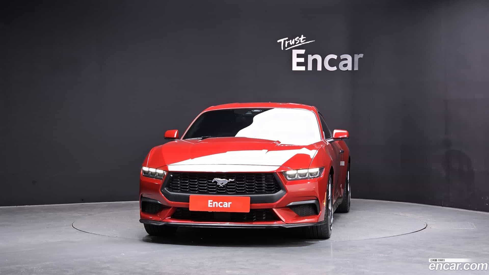 Mustang Ford 2024.1-OUTER-003
