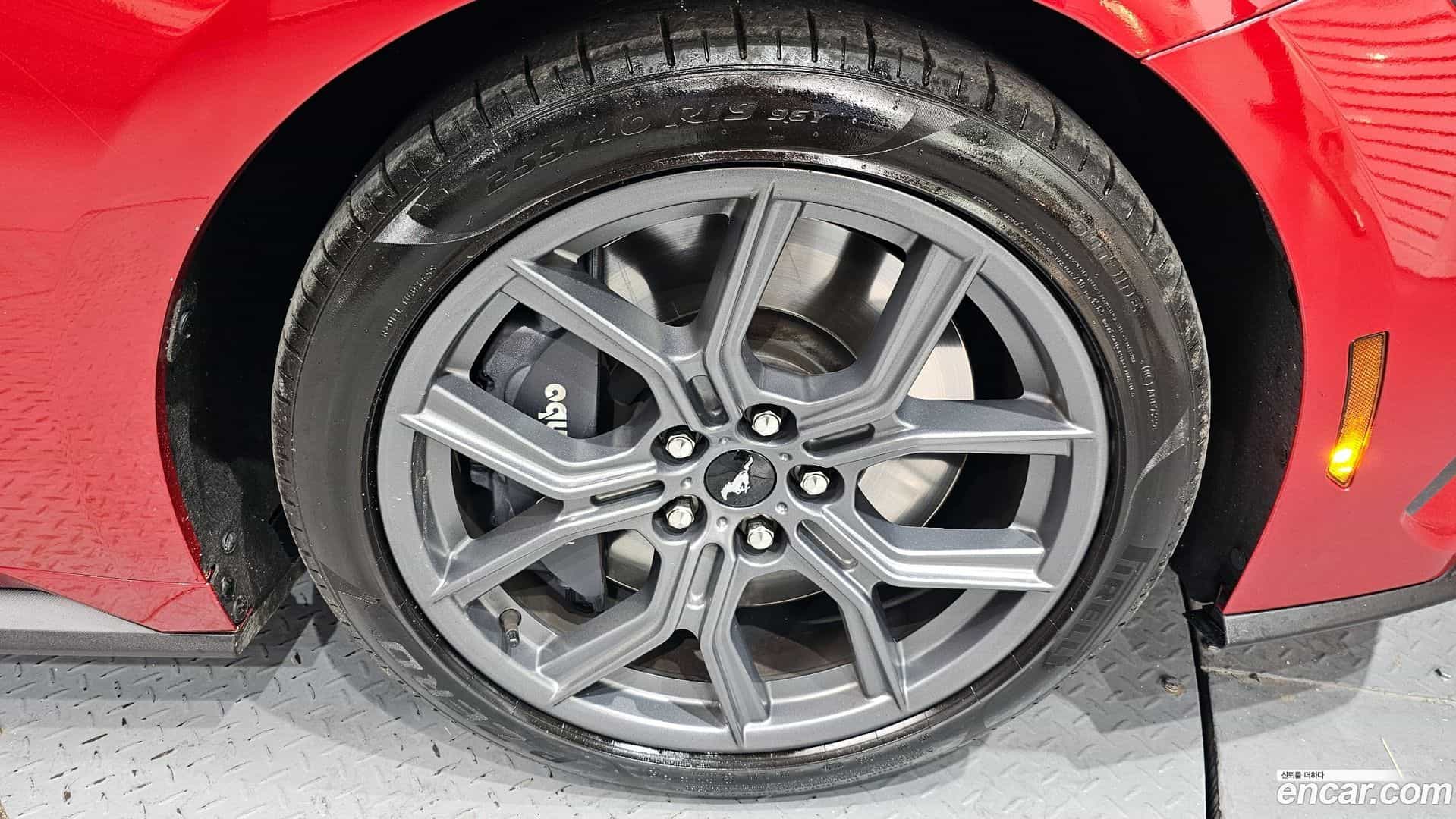 Mustang Ford 2024.1-OUTER-005