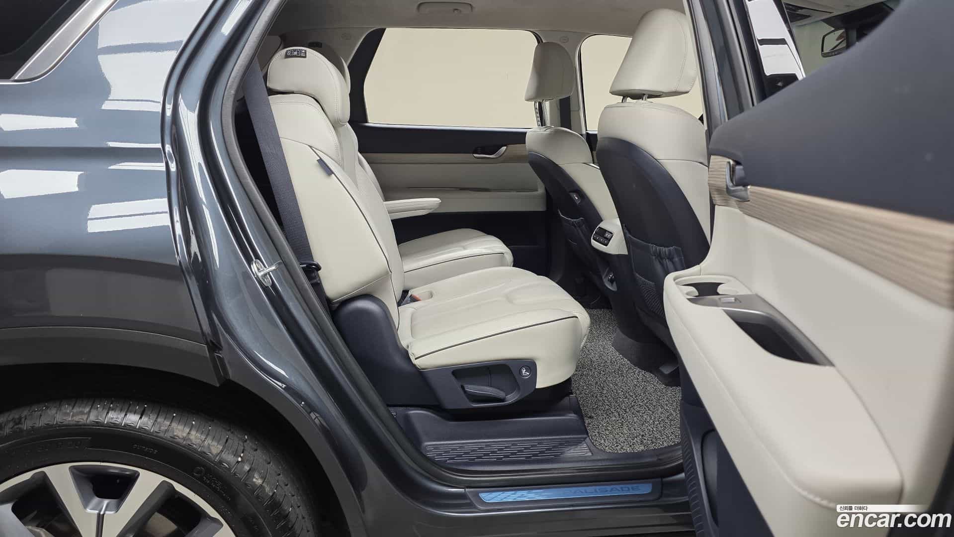 Palisade Hyundai 2019.3-OPTION-016