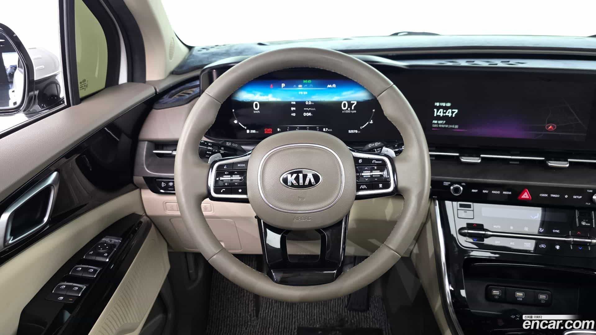 Canival Kia 2020.11-OPTION-017