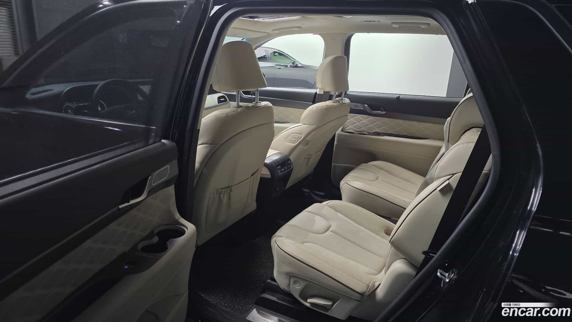 Palisade Hyundai 2020.11-OPTION-015