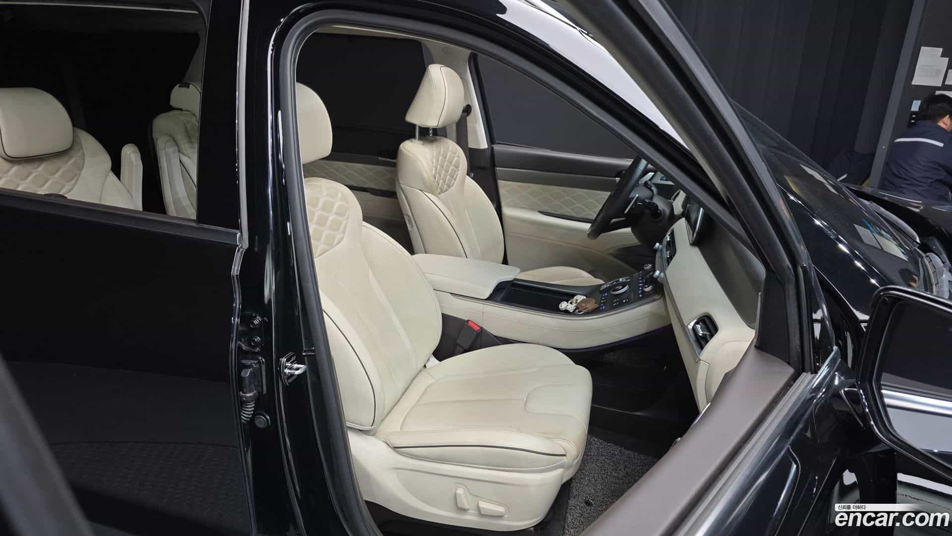 Palisade Hyundai 2020.11-OPTION-016