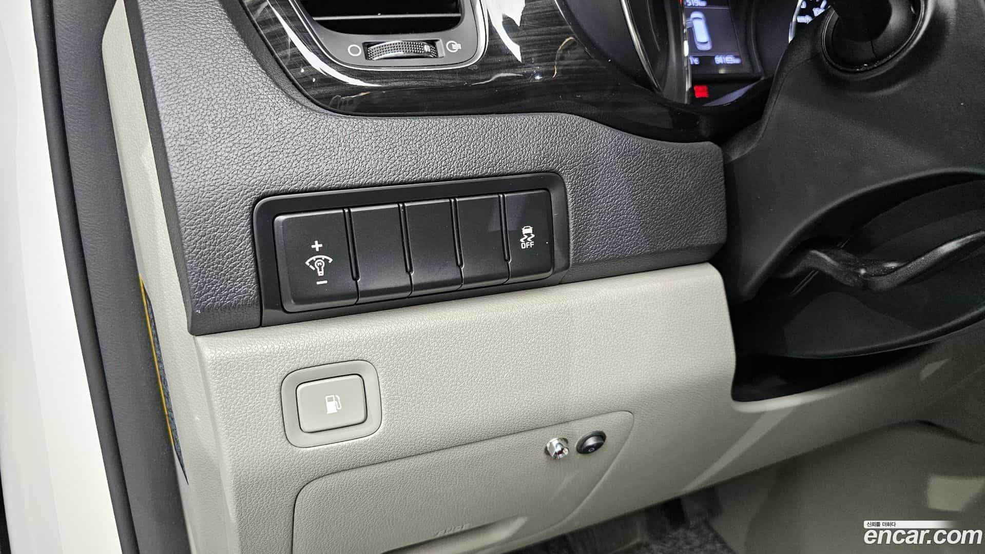 Canival Kia 2018.10-OPTION-019