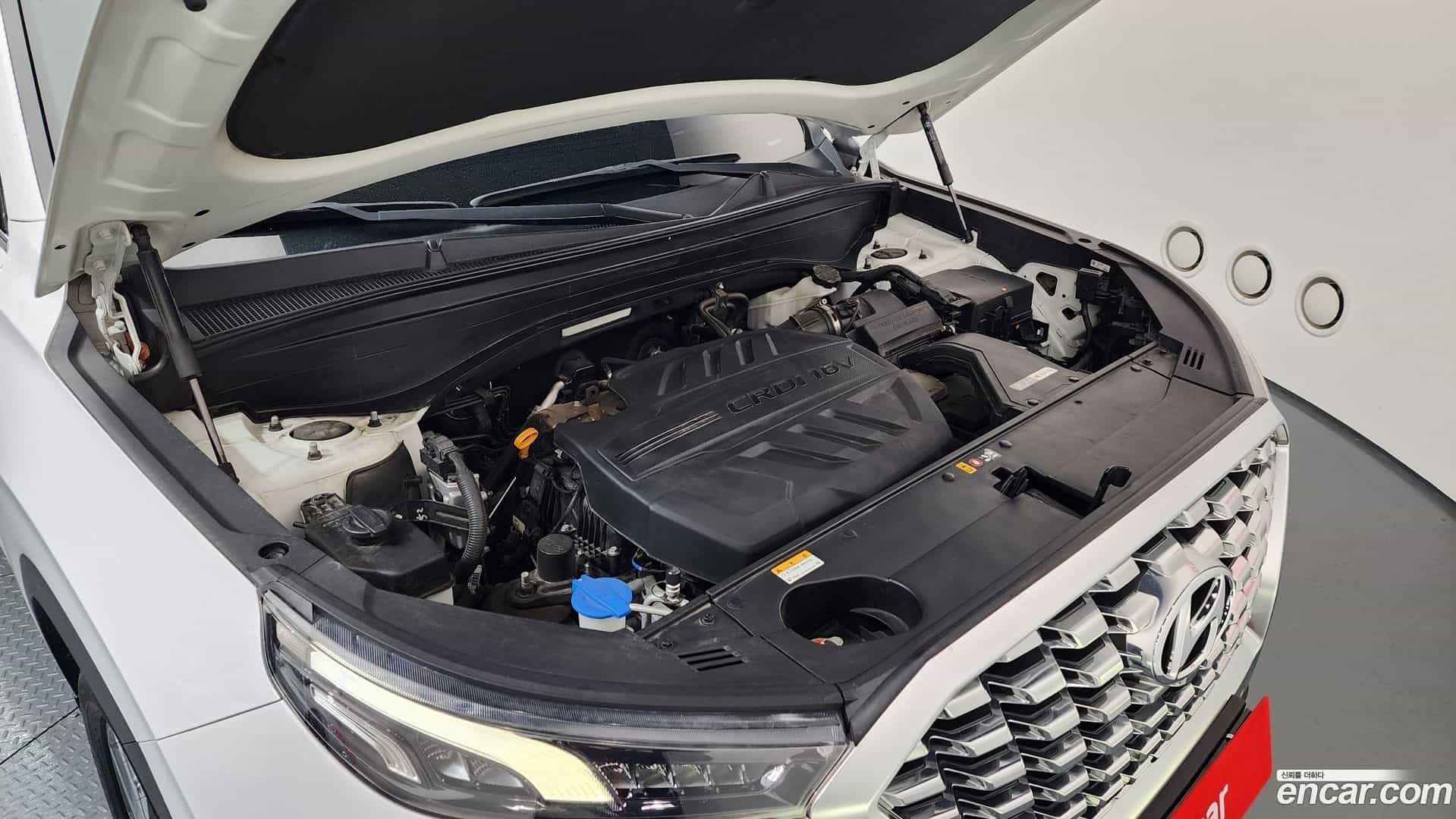 Palisade Hyundai 2019.9-OUTER-006