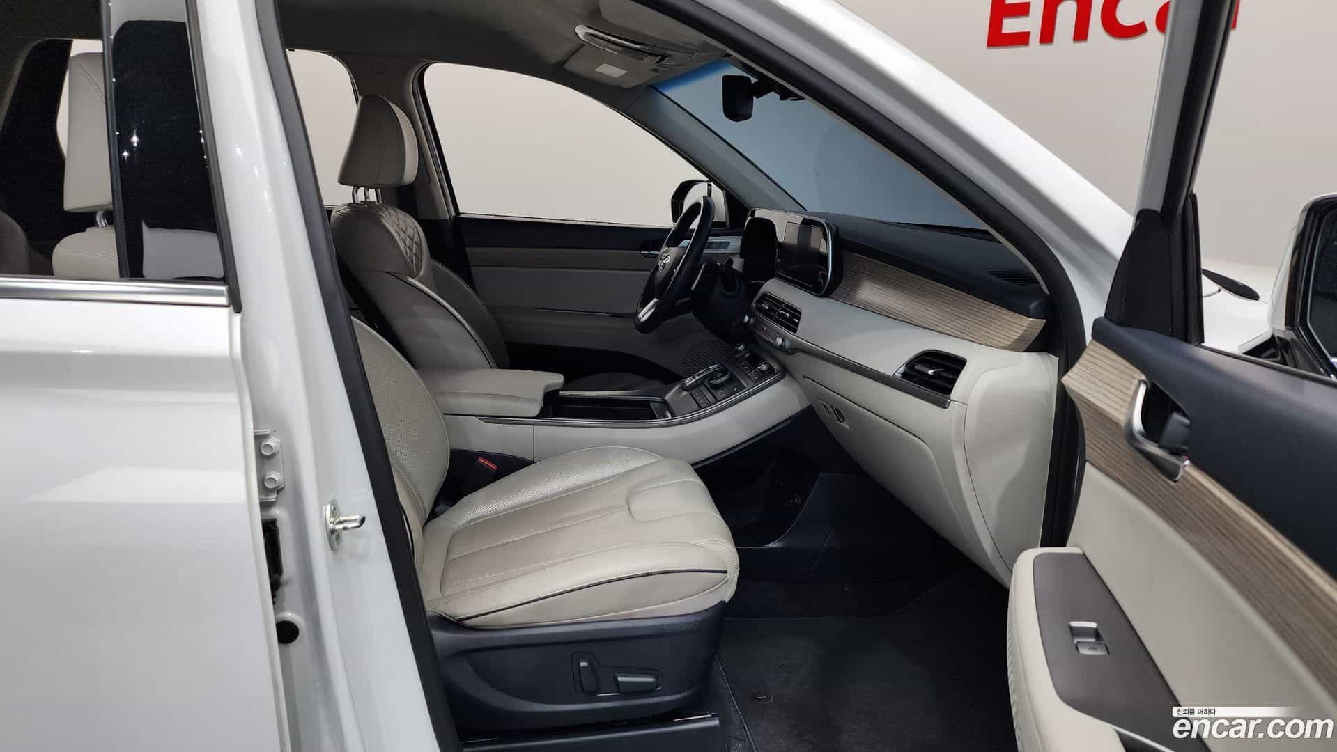 Palisade Hyundai 2019.9-OPTION-015