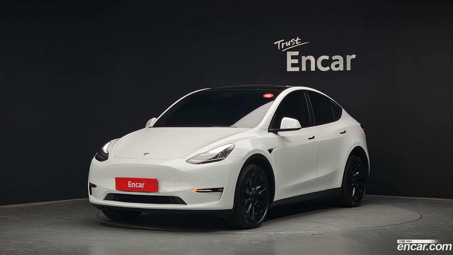 Main__Slider__Photo:Model Y Tesla 2021.5-0