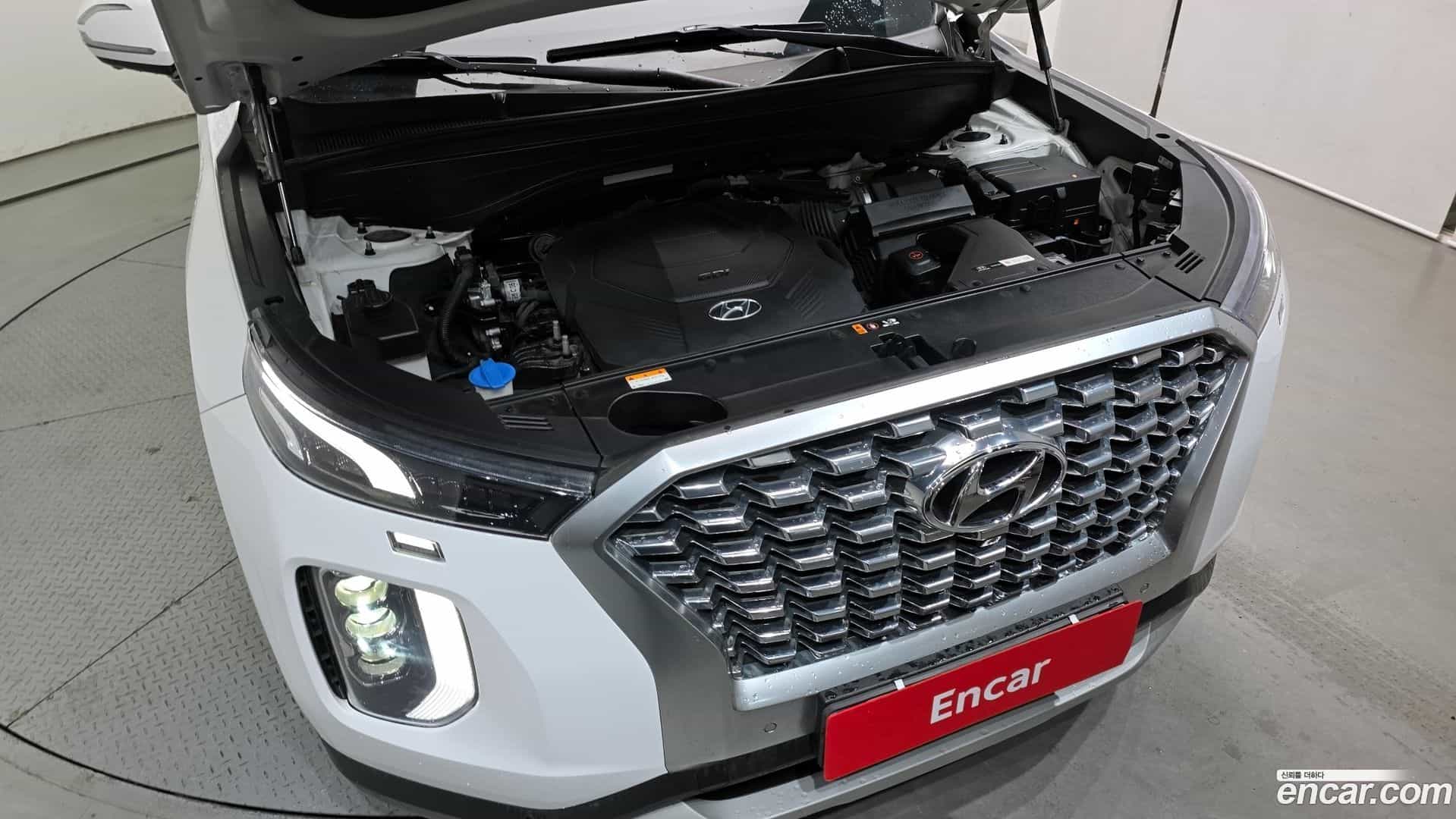 Palisade Hyundai 2020.10-OUTER-006