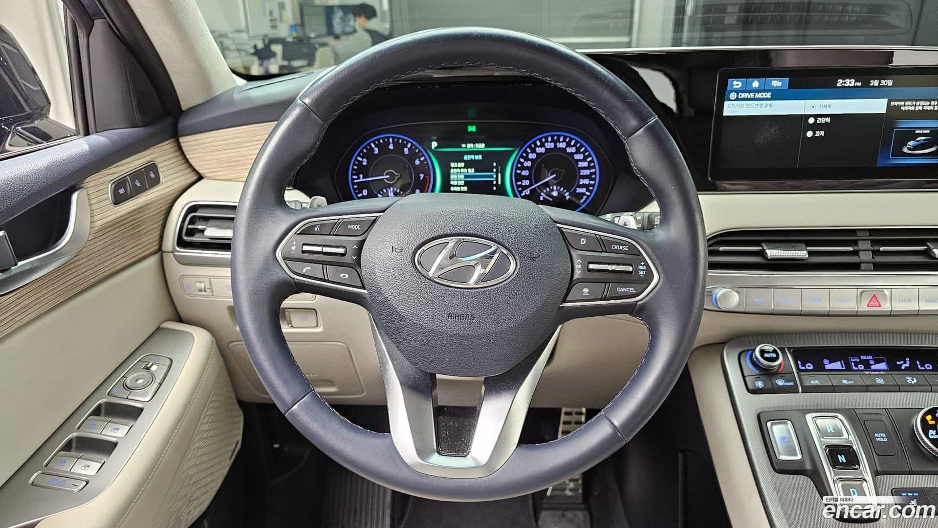 Palisade Hyundai 2019.1-OPTION-017