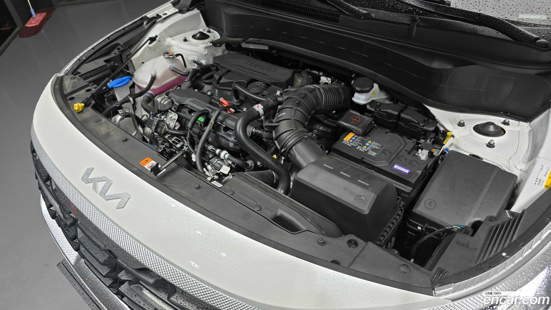 Seltos Kia 2025.8-OUTER-006