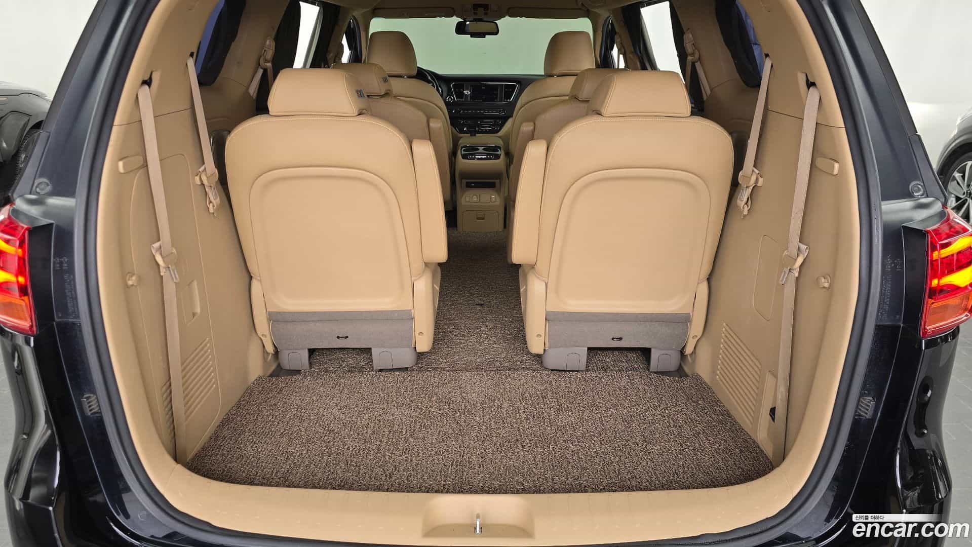 Canival Kia 2018.11-OPTION-024
