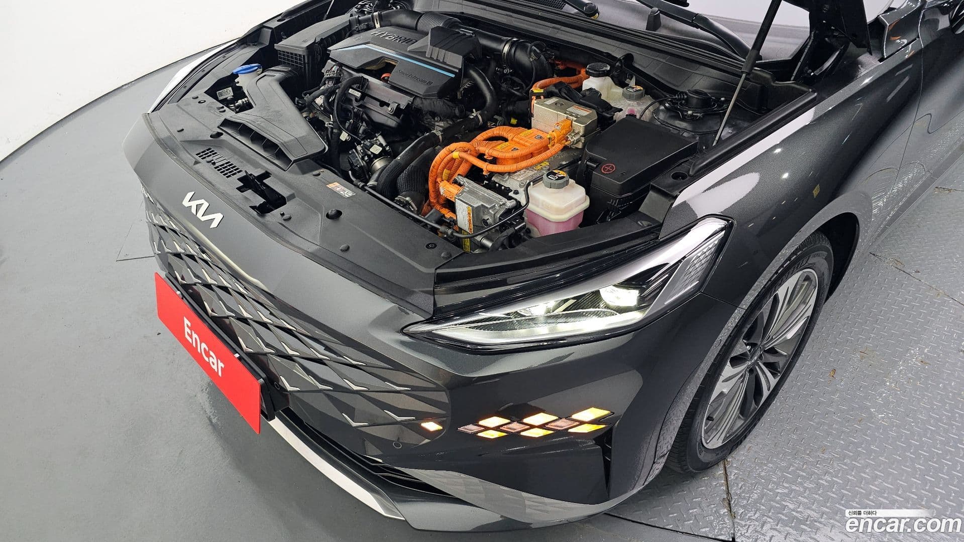 Main__Slider__Photo:K8 Kia 2022.6-5