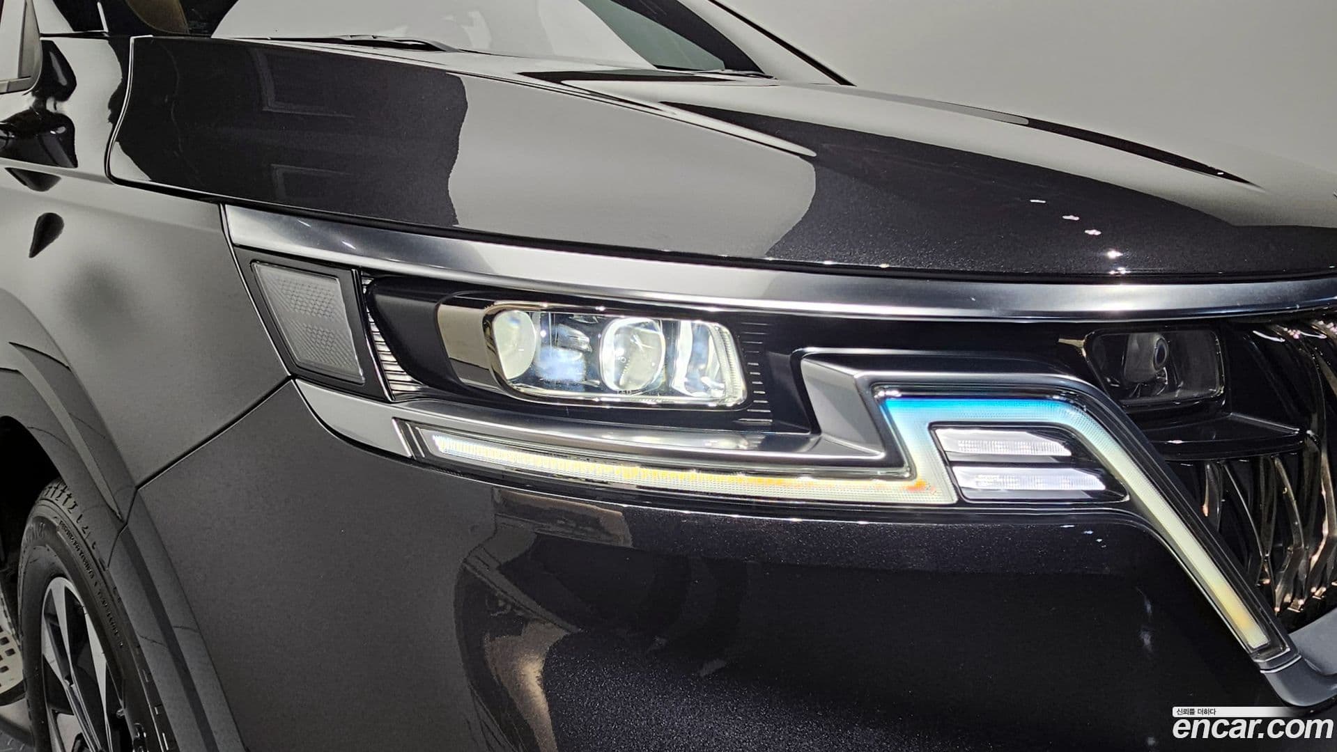 Main__Slider__Photo:Canival Kia 2020.9-21